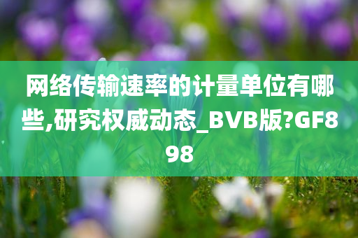 网络传输速率的计量单位有哪些,研究权威动态_BVB版?GF898