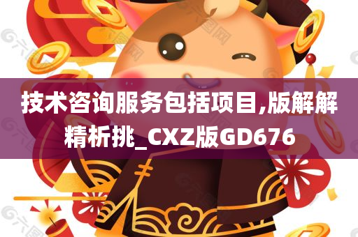 技术咨询服务包括项目,版解解精析挑_CXZ版GD676