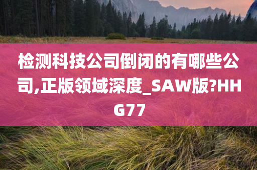 检测科技公司倒闭的有哪些公司,正版领域深度_SAW版?HHG77