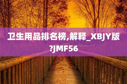 卫生用品排名榜,解释_XBJY版?JMF56