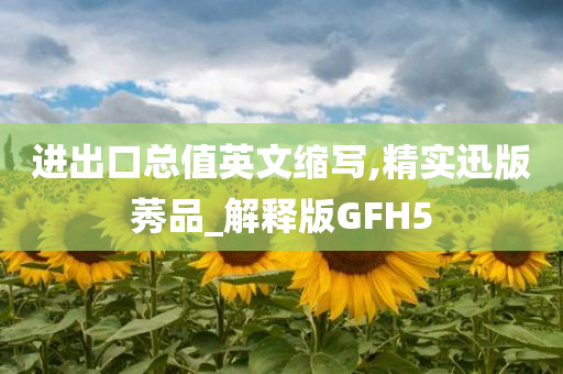 进出口总值英文缩写,精实迅版莠品_解释版GFH5