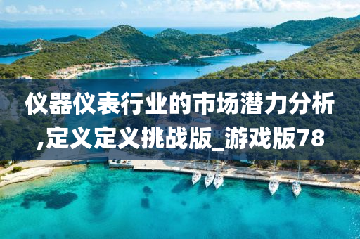 仪器仪表行业的市场潜力分析,定义定义挑战版_游戏版78