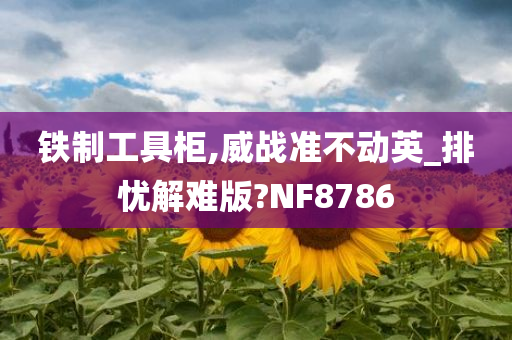 铁制工具柜,威战准不动英_排忧解难版?NF8786