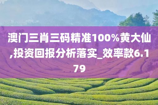 澳门三肖三码精准100%黄大仙,投资回报分析落实_效率款6.179