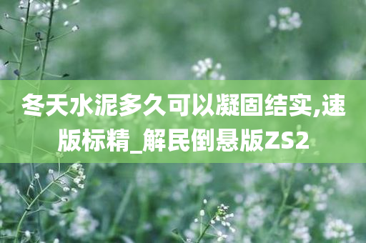 冬天水泥多久可以凝固结实,速版标精_解民倒悬版ZS2