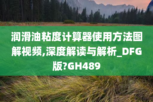 润滑油粘度计算器使用方法图解视频,深度解读与解析_DFG版?GH489