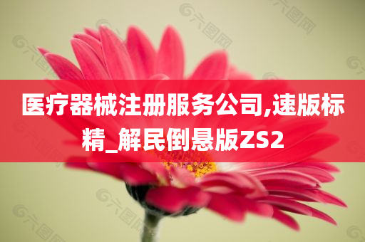 医疗器械注册服务公司,速版标精_解民倒悬版ZS2