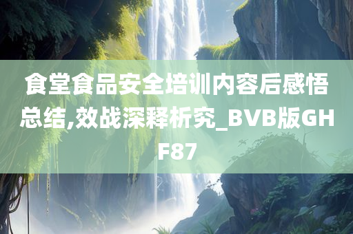 食堂食品安全培训内容后感悟总结,效战深释析究_BVB版GHF87