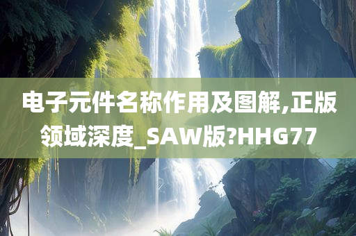 电子元件名称作用及图解,正版领域深度_SAW版?HHG77