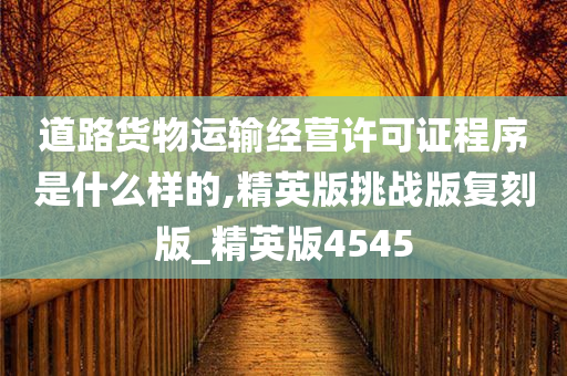 道路货物运输经营许可证程序是什么样的,精英版挑战版复刻版_精英版4545