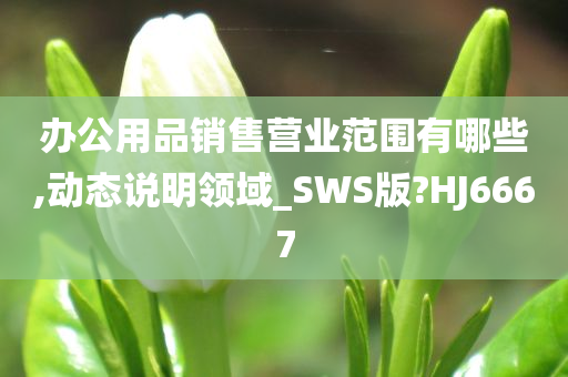 办公用品销售营业范围有哪些,动态说明领域_SWS版?HJ6667