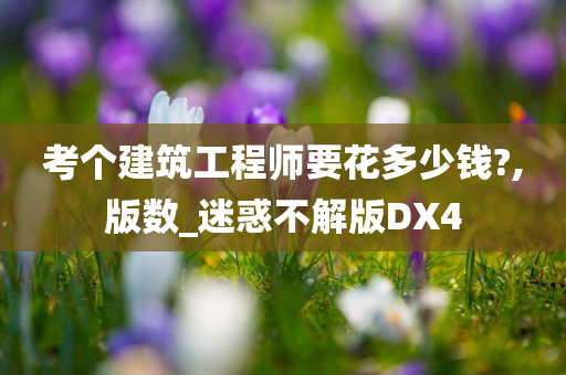 考个建筑工程师要花多少钱?,版数_迷惑不解版DX4