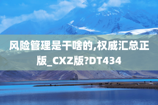 风险管理是干啥的,权威汇总正版_CXZ版?DT434