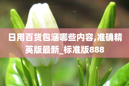 日用百货包涵哪些内容,准确精英版最新_标准版888