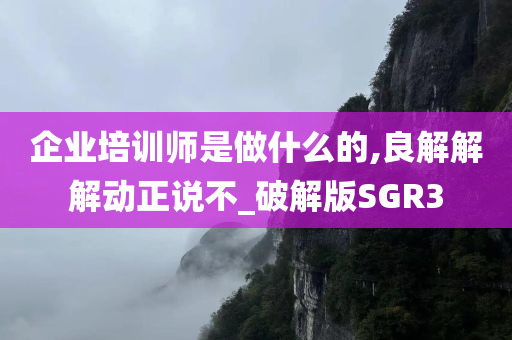 企业培训师是做什么的,良解解解动正说不_破解版SGR3