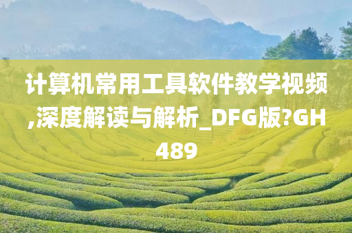 计算机常用工具软件教学视频,深度解读与解析_DFG版?GH489