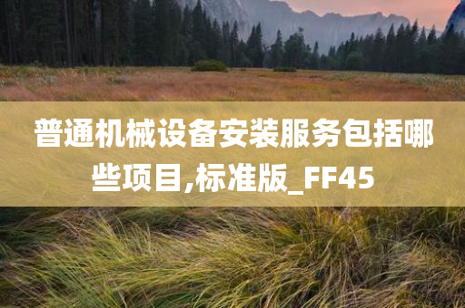 普通机械设备安装服务包括哪些项目,标准版_FF45