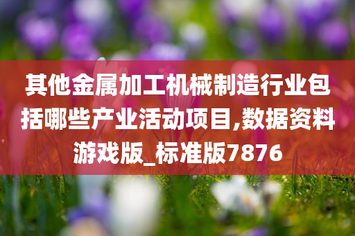 其他金属加工机械制造行业包括哪些产业活动项目,数据资料游戏版_标准版7876