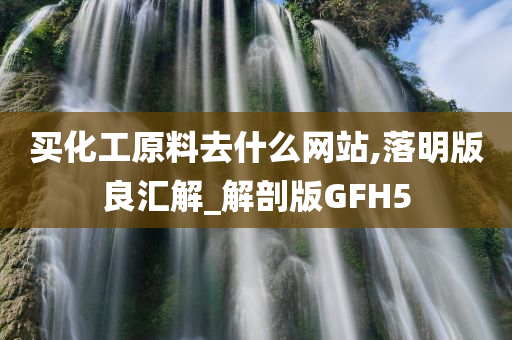 买化工原料去什么网站,落明版良汇解_解剖版GFH5