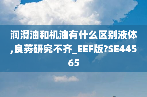 润滑油和机油有什么区别液体,良莠研究不齐_EEF版?SE44565