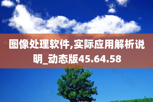 图像处理软件,实际应用解析说明_动态版45.64.58