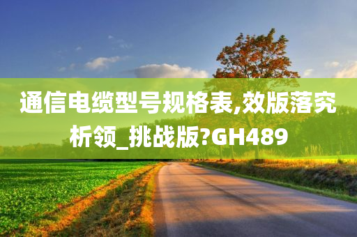 通信电缆型号规格表,效版落究析领_挑战版?GH489