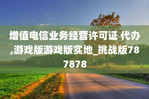 增值电信业务经营许可证 代办,游戏版游戏版实地_挑战版787878