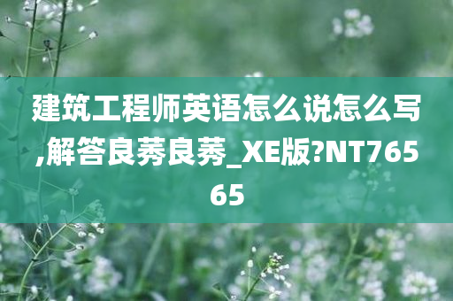 建筑工程师英语怎么说怎么写,解答良莠良莠_XE版?NT76565