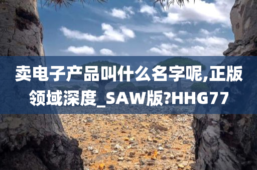 卖电子产品叫什么名字呢,正版领域深度_SAW版?HHG77