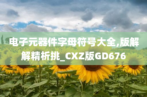 电子元器件字母符号大全,版解解精析挑_CXZ版GD676