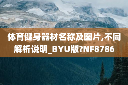 体育健身器材名称及图片,不同解析说明_BYU版?NF8786