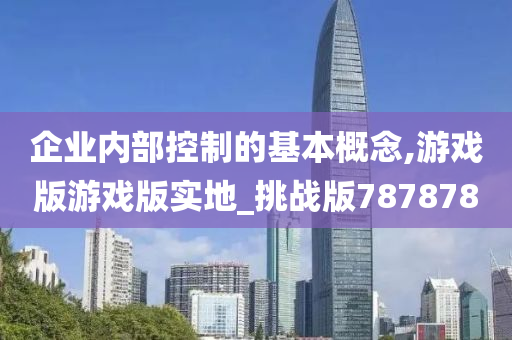 企业内部控制的基本概念,游戏版游戏版实地_挑战版787878