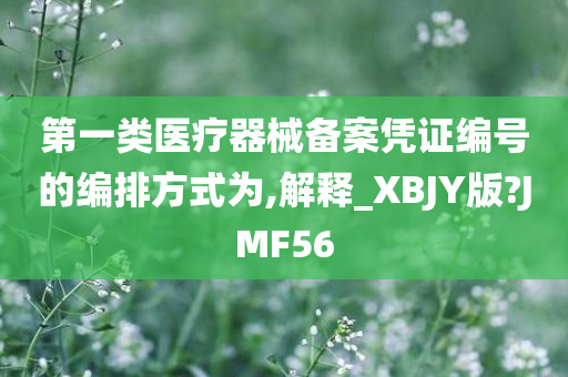 第一类医疗器械备案凭证编号的编排方式为,解释_XBJY版?JMF56