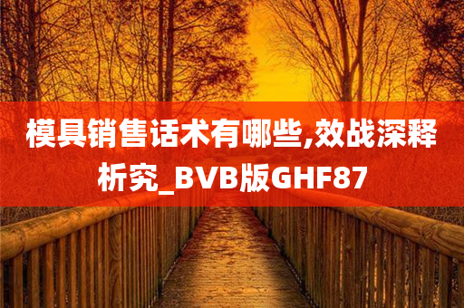 模具销售话术有哪些,效战深释析究_BVB版GHF87