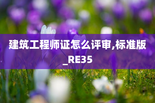 建筑工程师证怎么评审,标准版_RE35