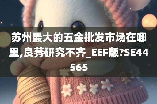 苏州最大的五金批发市场在哪里,良莠研究不齐_EEF版?SE44565