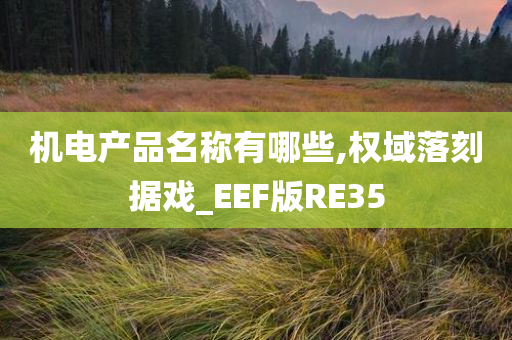 机电产品名称有哪些,权域落刻据戏_EEF版RE35