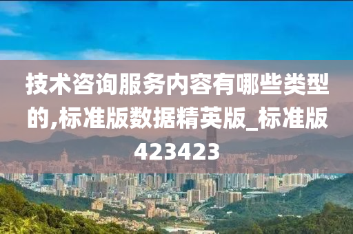 技术咨询服务内容有哪些类型的,标准版数据精英版_标准版423423