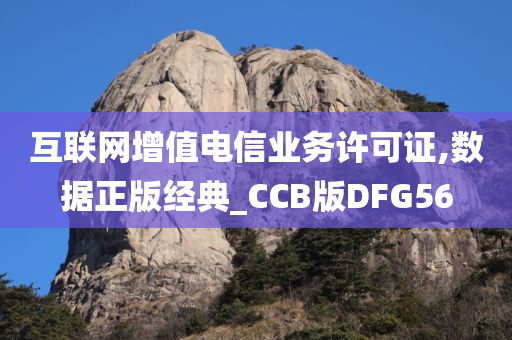 互联网增值电信业务许可证,数据正版经典_CCB版DFG56