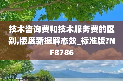 技术咨询费和技术服务费的区别,版度新据解态效_标准版?NF8786