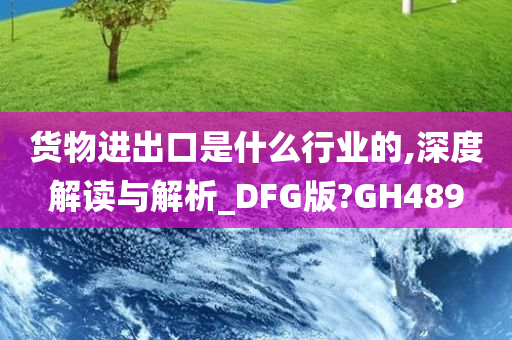 货物进出口是什么行业的,深度解读与解析_DFG版?GH489