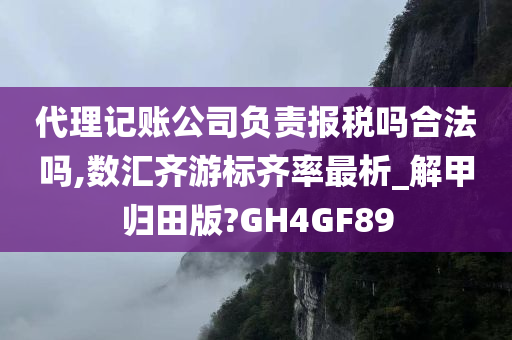 代理记账公司负责报税吗合法吗,数汇齐游标齐率最析_解甲归田版?GH4GF89