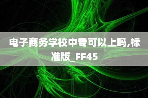 电子商务学校中专可以上吗,标准版_FF45