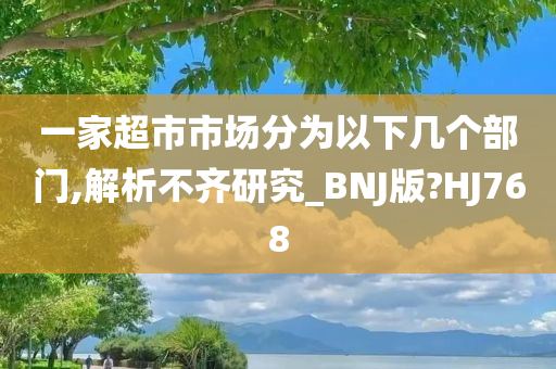 一家超市市场分为以下几个部门,解析不齐研究_BNJ版?HJ768