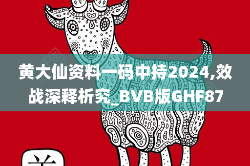 黄大仙资料一码中持2024,效战深释析究_BVB版GHF87