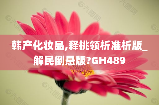 韩产化妆品,释挑领析准析版_解民倒悬版?GH489