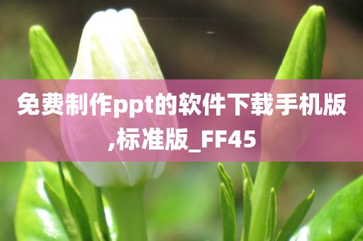 免费制作ppt的软件下载手机版,标准版_FF45