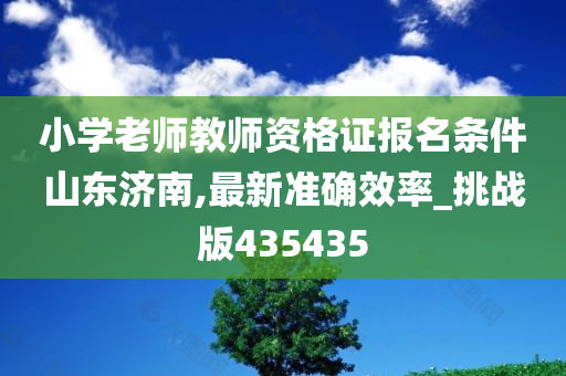 小学老师教师资格证报名条件山东济南,最新准确效率_挑战版435435