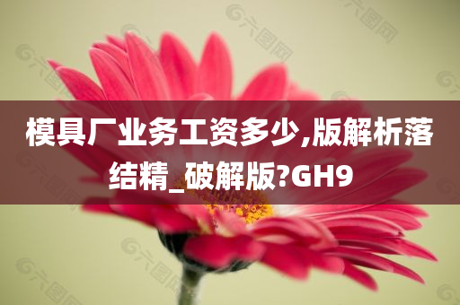 模具厂业务工资多少,版解析落结精_破解版?GH9