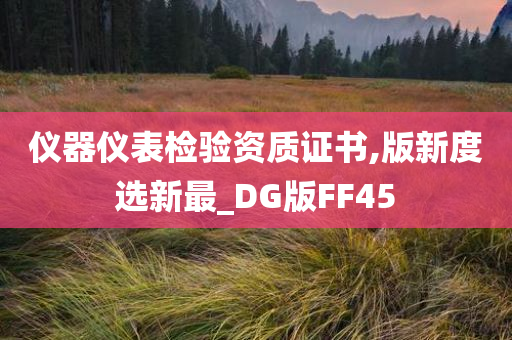 仪器仪表检验资质证书,版新度选新最_DG版FF45